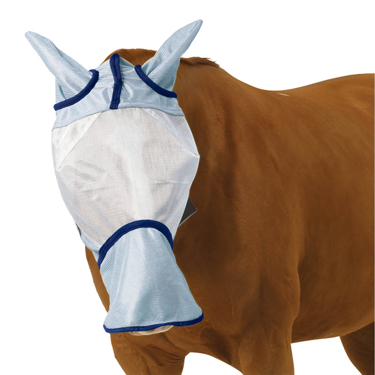 Fly Protection