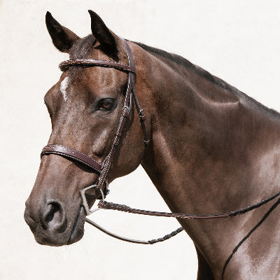 Horse Bridles & Accessories