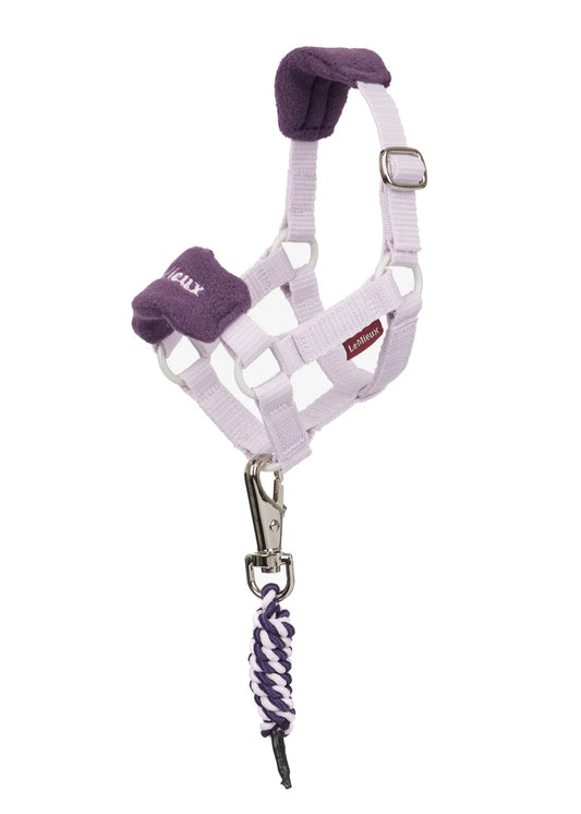LeMieux Toy Pony Vogue Headcollar Lilac