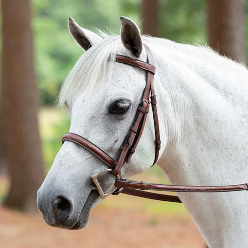 Arc De Triomphe Tribute Hunter Bridle with Raised Fancy Laced Reins