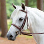 Horse/Pony Hunter Bridle Arc De Triomphe Tribute with Raised Fancy Laced Reins