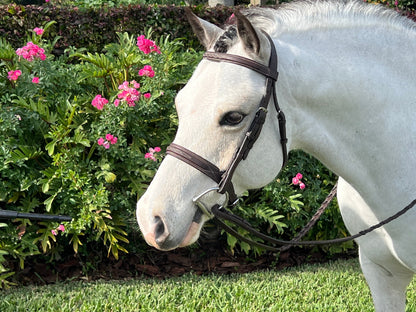 Pony Sugarbrook Bridle Wide Noseband