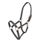 Color Collection by Ovation® Lucky Breakaway Halter - Black