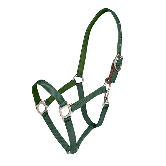 Color Collection by Ovation® Lucky Breakaway Halter - Hunter