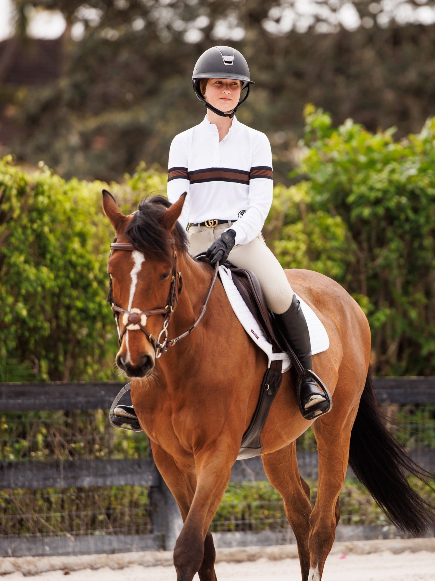 Cambridge Ladies Long Sleeve Show Shirt - White with Black & Chocolate