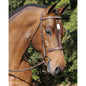 Horse/Pony Hunter Bridle Arc De Triomphe Tribute with Raised Fancy Laced Reins