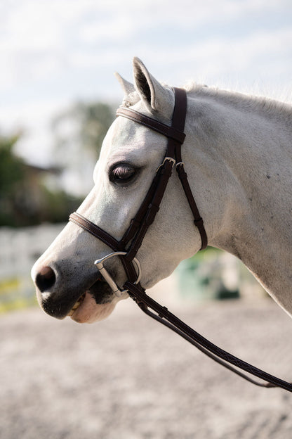Pony Farnley Bridle