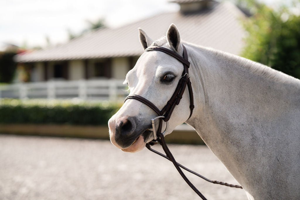 Pony Farnley Bridle
