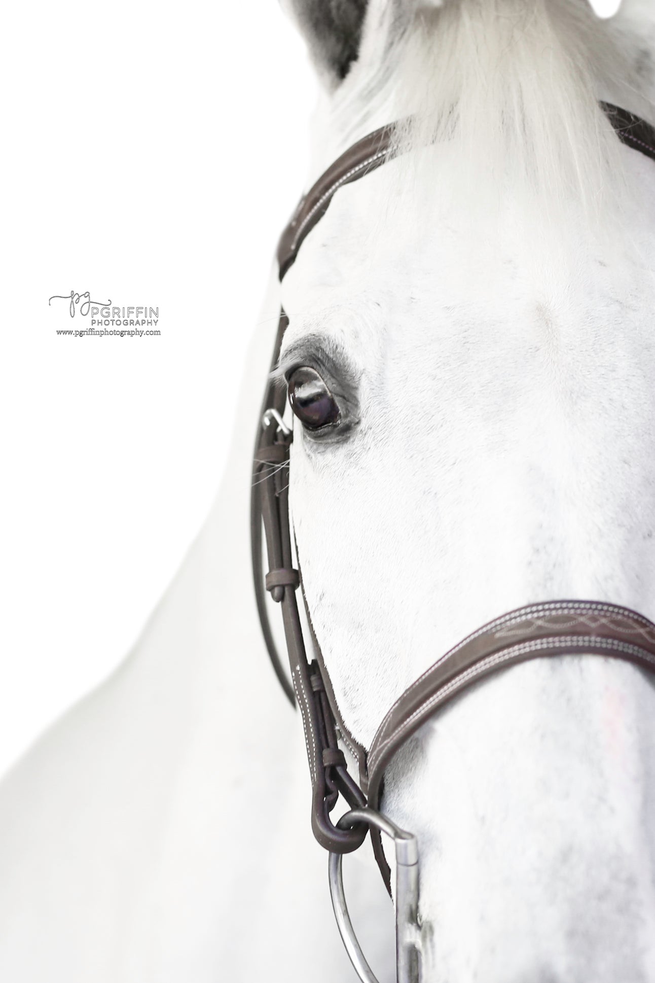 Pony Sugarbrook Bridle Wide Noseband