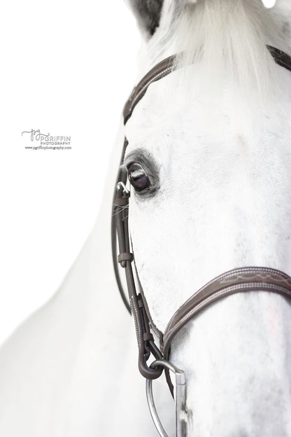Pony Sugarbrook Bridle Wide Noseband