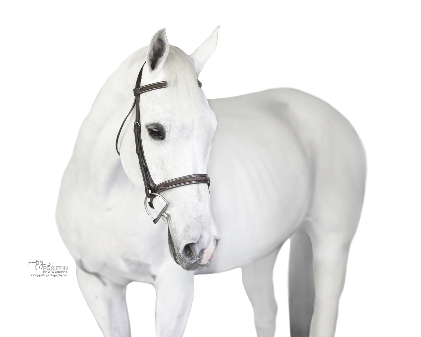 Pony Sugarbrook Bridle Wide Noseband