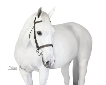 Pony Sugarbrook Bridle Wide Noseband