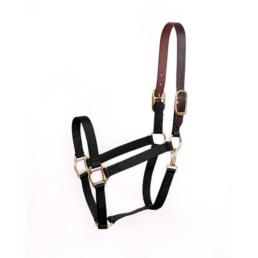 Horse & Pony Economy Safety Halter-Black