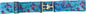 Kids Riding Belts