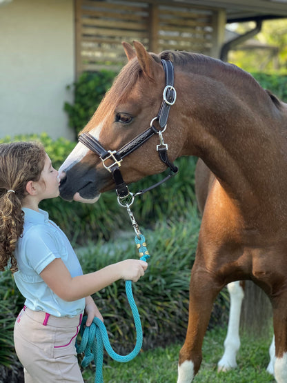 Pony Padded Halter