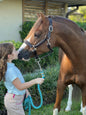 Pony Padded Halter