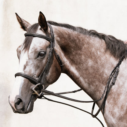 Horse Bridle Nunn Finer Elena