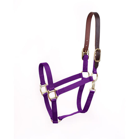 Horse & Pony Economy Safety Halter-Purple