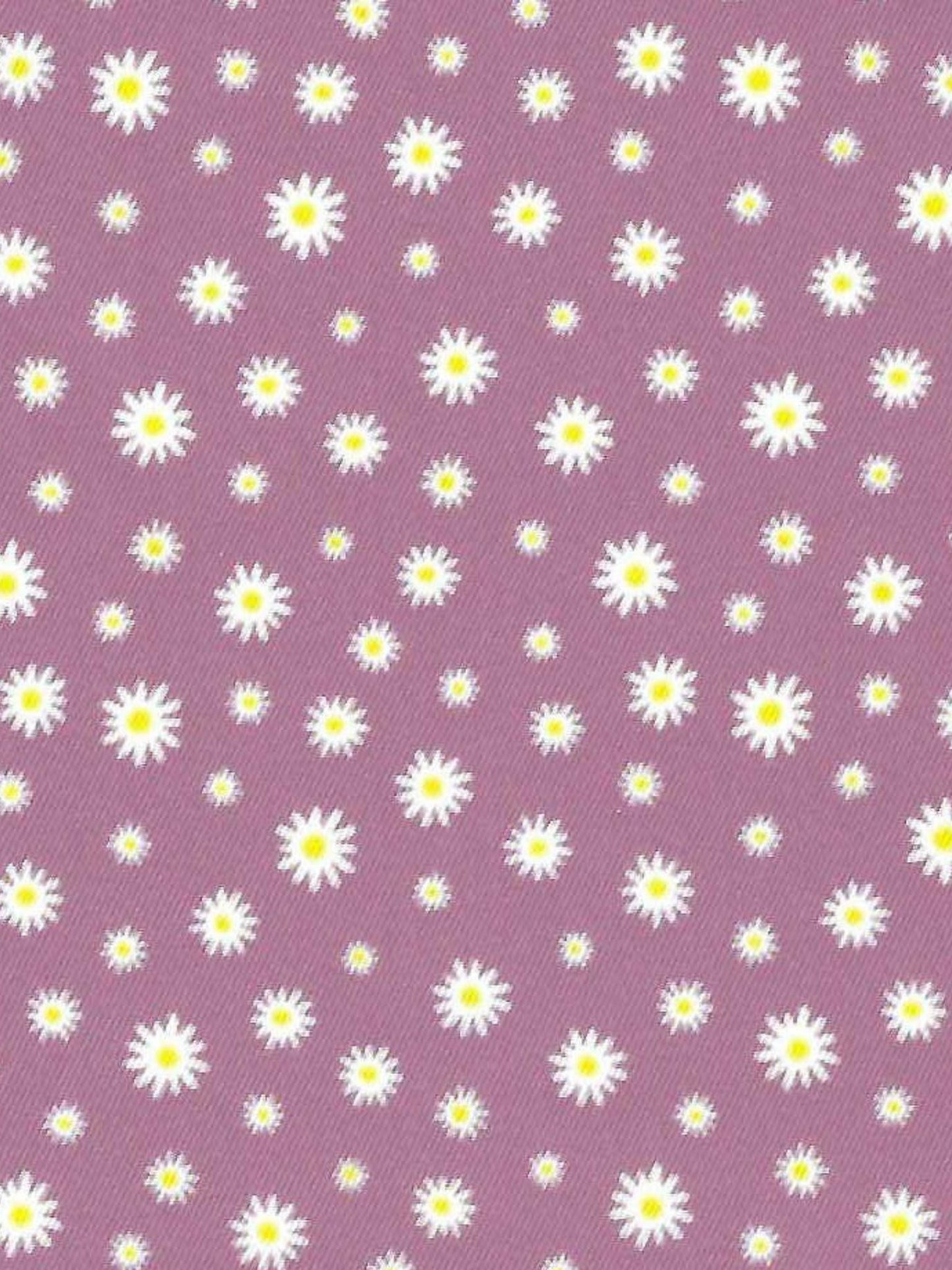 Daisy Delight Ladies Talent Yarn Wrap Collar Long Sleeve Show Shirt