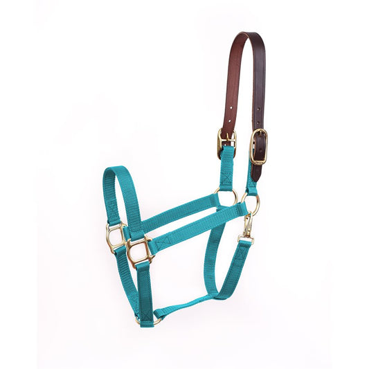 Horse & Pony Economy Safety Halter-Turquoise