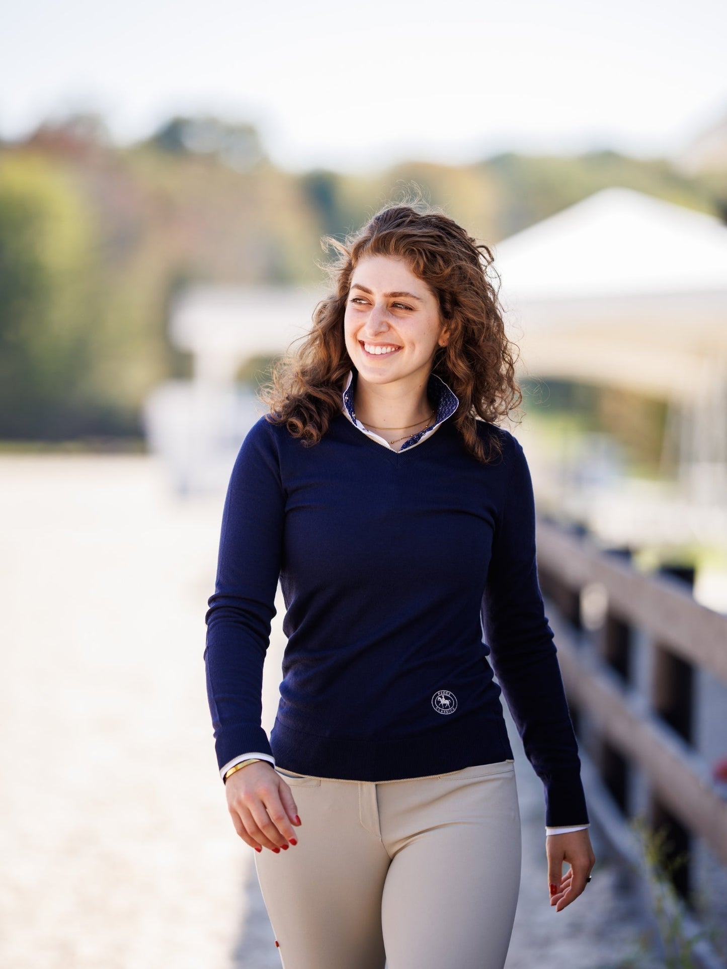 Navy with Tan Trey V-Neck Sweater
