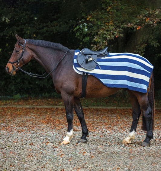 Horseware Rambo Competition Sheet