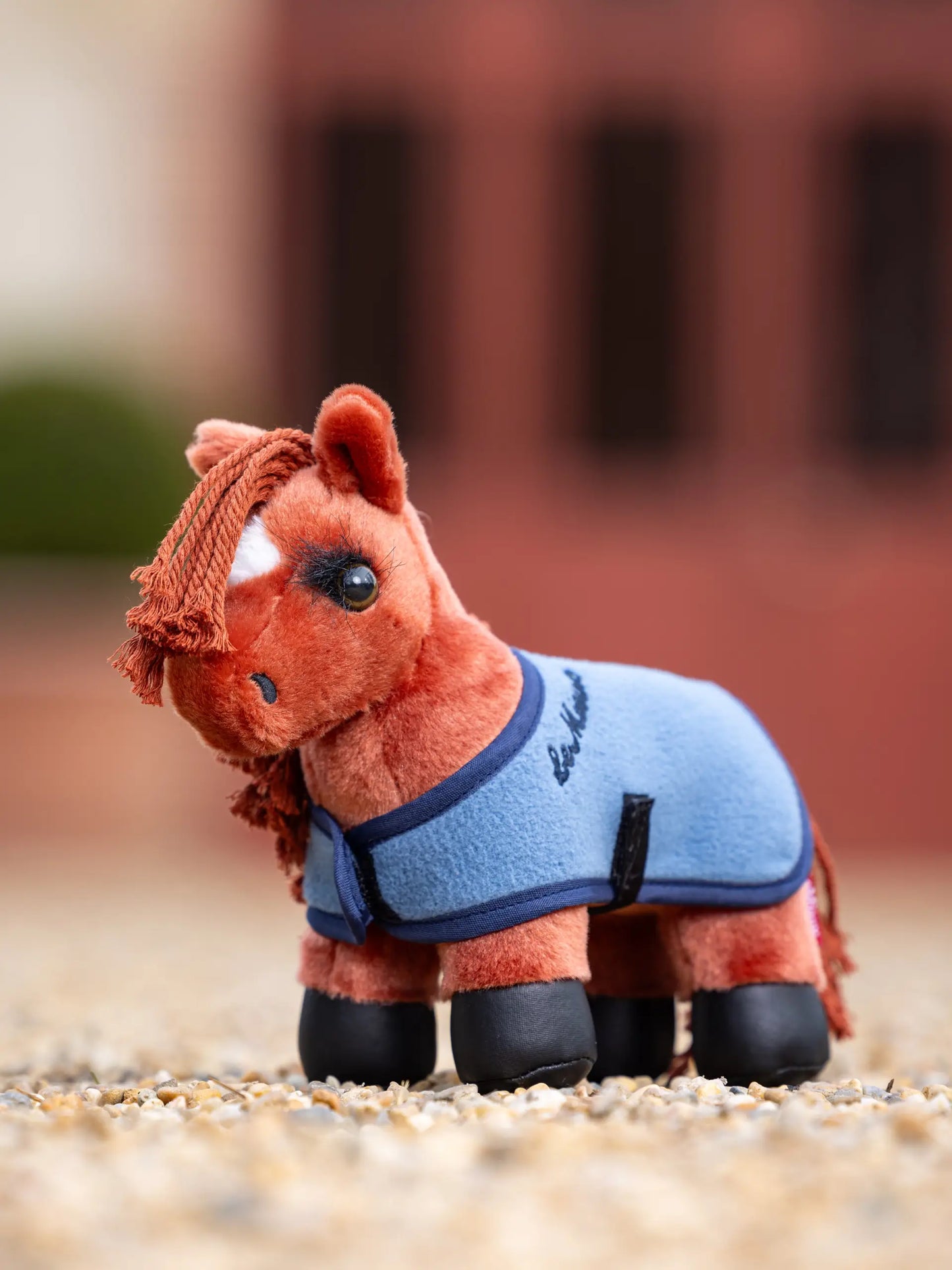 Tiny Pony Thomas