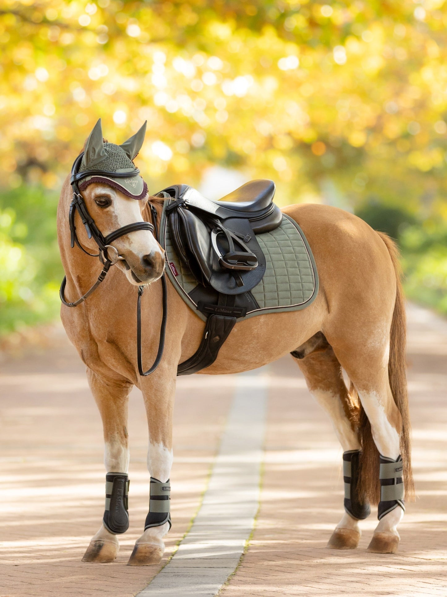 LeMieux Suede Close Contact Square Pad Rosemary XS