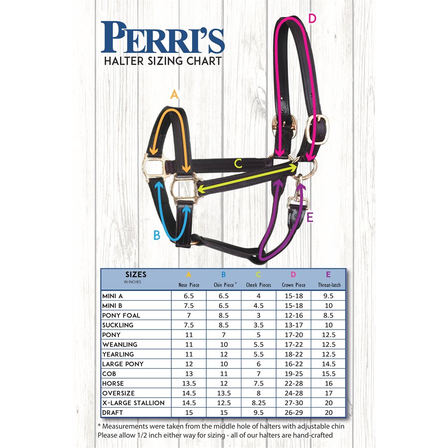 Horse & Pony Economy Safety Halter-Black