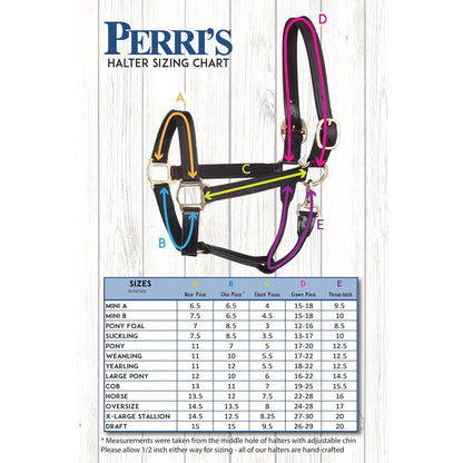 Horse & Pony Economy Safety Halter-Black