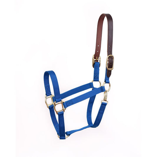 Pony Economy Safety Halter-Royal Blue
