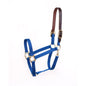 Pony Economy Safety Halter-Royal Blue